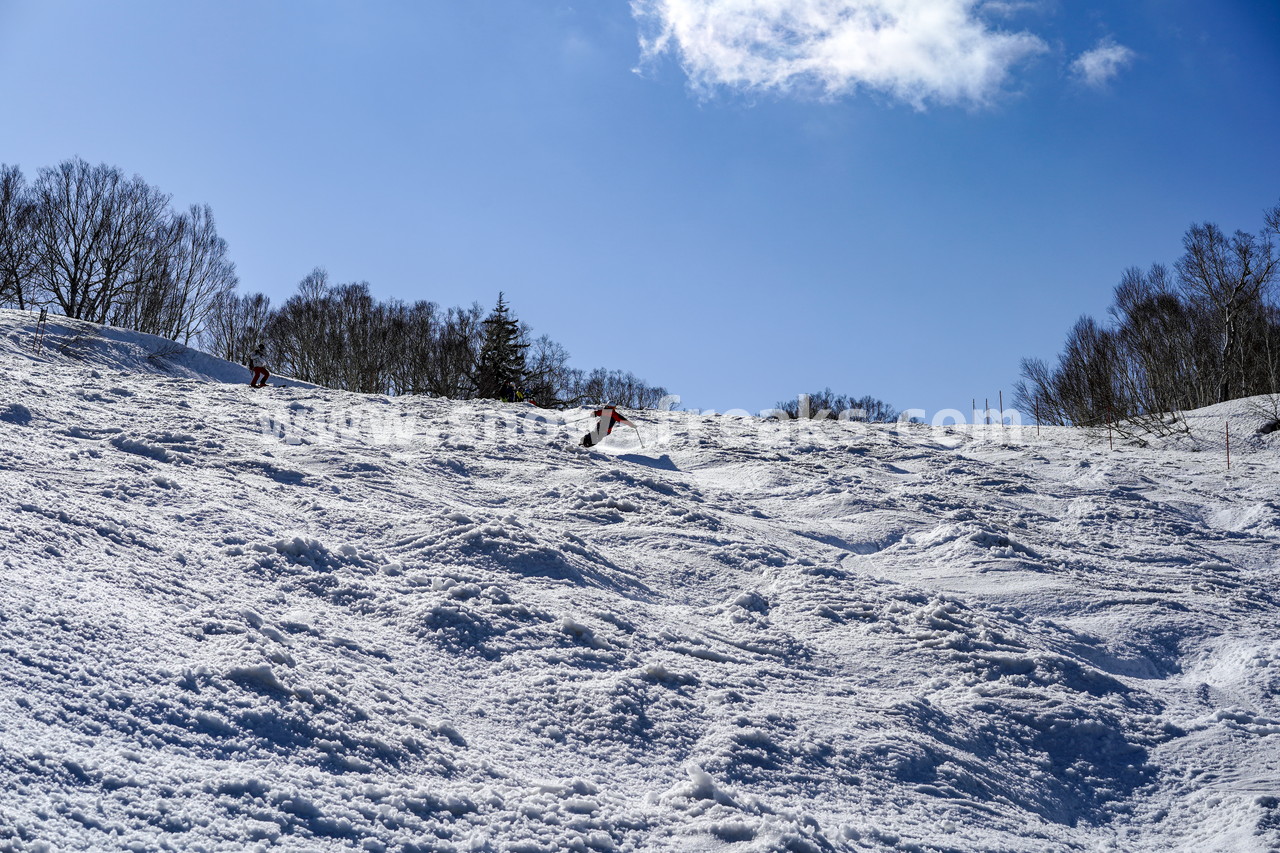 札幌国際スキー場 Mt.石井スポーツ ISHII SKI ACADEMY 校長・斉藤人之さんによる『斉藤塾』開講。本日のテーマは、「春雪！コブからスキーのたわみを楽しむ！！」(^^)v